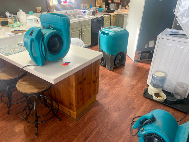 Trusted Highland Park, PA Water damage restoration Experts