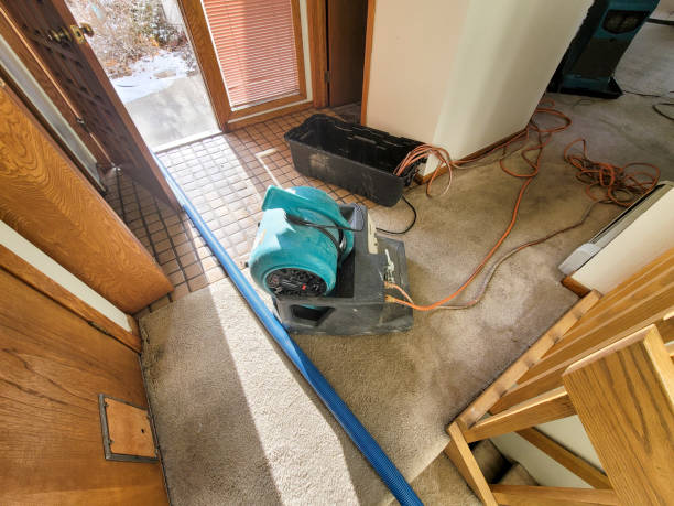 Best Local water damage restoration  in Highland Rk, PA