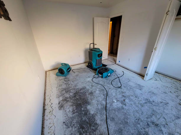 Best Fire Damage Restoration  in Highland Rk, PA