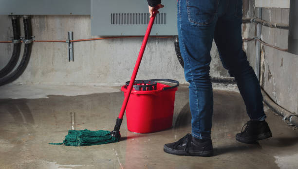Best Mold removal after water damage  in Highland Rk, PA