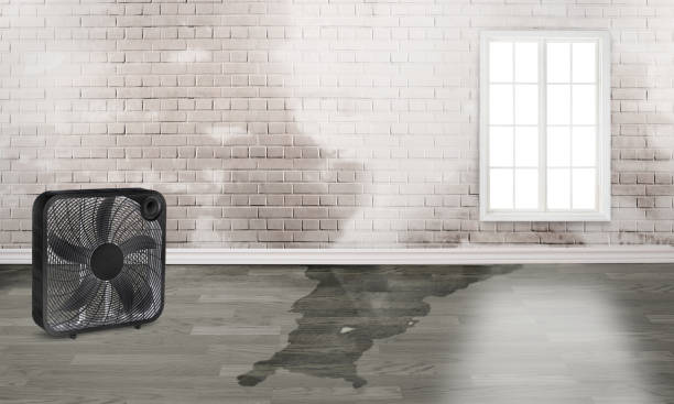 Best Flood restoration services  in Highland Rk, PA