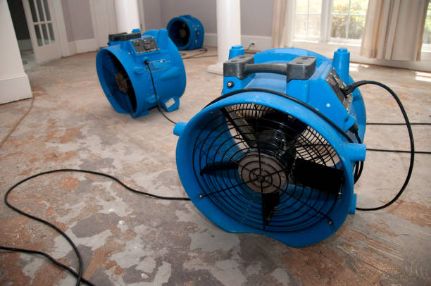 Best Flood damage cleanup  in Highland Rk, PA