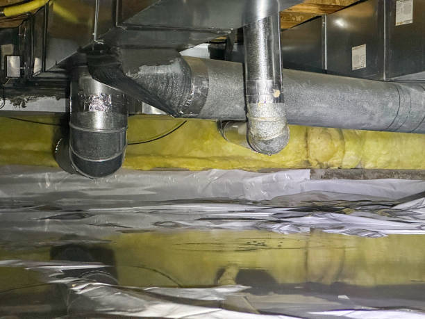 Best Water damage contractors near me  in Highland Rk, PA