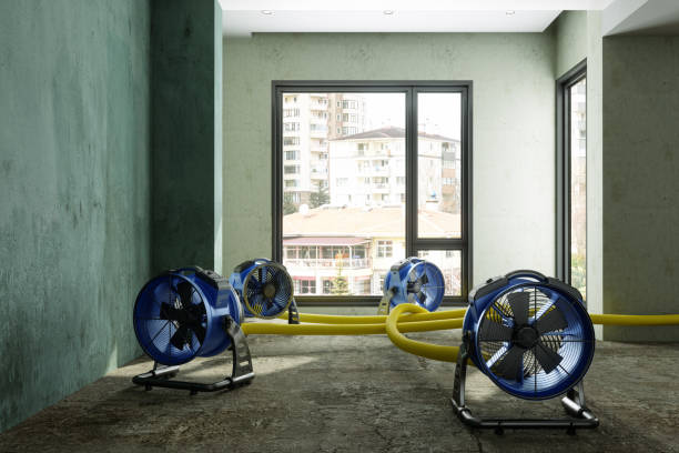 Best Sewage cleanup and water damage restoration  in Highland Rk, PA